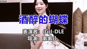 小蝶蝶饮醉爆料视频,一场意外的醉酒狂欢