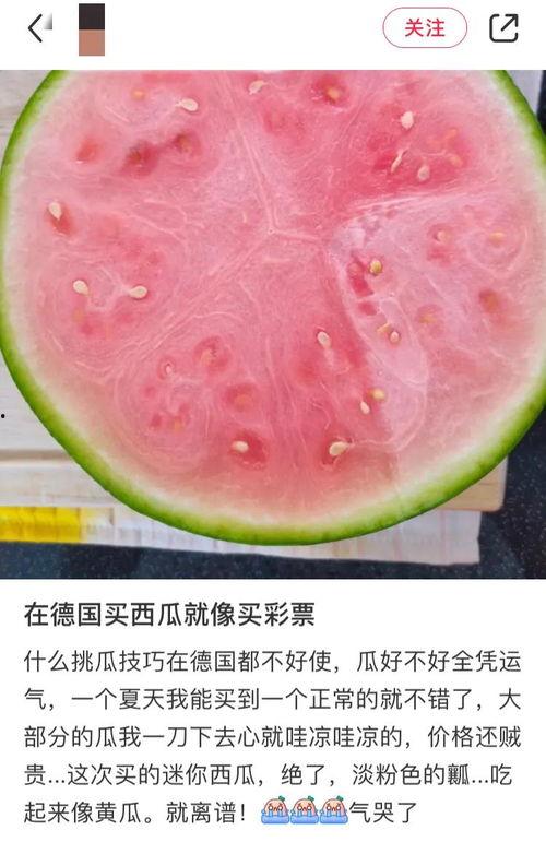 吃瓜网免费官网全球,全球热点一网打尽,畅享无界限的娱乐盛宴 第2张 吃瓜网免费官网全球,全球热点一网打尽,畅享无界限的娱乐盛宴 第2张