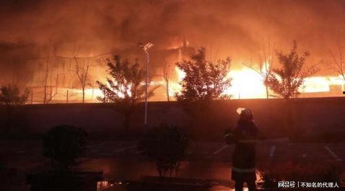 大火视频在线观看,在线观看，燃情瞬间尽收眼底  第3张