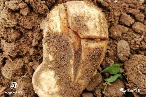 裂缝在线观看土豆,土豆独家首播,揭秘神秘裂痕背后的真相 第1张 裂缝在线观看土豆,土豆独家首播,揭秘神秘裂痕背后的真相 第1张